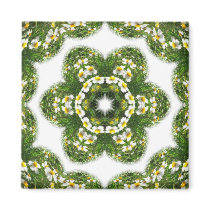 Little White Wildflower Kaleidoscope Art 3 magnets by KaleidoscopeArt Little White Wildflower Kaleidoscope Art 3 magnets