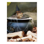 Little Witch Chipmunk Post Cards