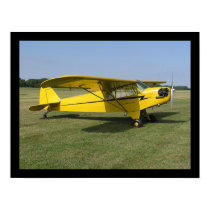 Little Yellow Airplane posters