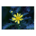 little yellow flower cards by cardart little yellow flower cards