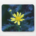 little yellow flower mousepad