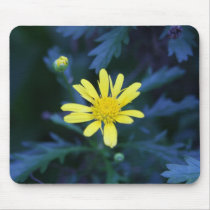 little yellow flower mousepads
