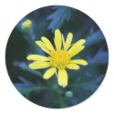 little yellow flower sticker sticker
