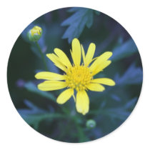 little yellow flower sticker