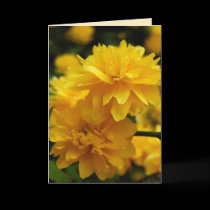 Little Yellow Flowers Greeting Card cards