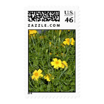 Little Yellow Marigolds Stamp
