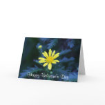 little yellow valentines cards