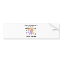 Live A Balanced Life Think Renal (Nephron) Bumper Sticker
