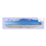 Live Aloha! Bumper Sticker