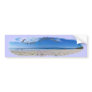 Live Aloha! Bumper Sticker