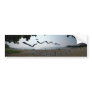 Live Aloha Bumper Sticker