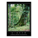 Live and Learn cards by ccphoto Live and Learn cards