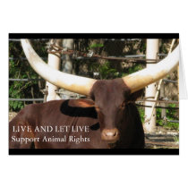 LIVE AND LET LIVE SUPPORT ANIMAL RIGHTS GREETING CARD
