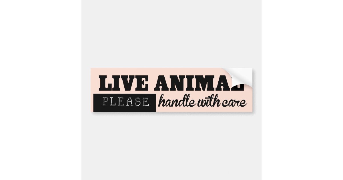LIVE ANIMAL Handle With Care Pet Kennel Sticker | Zazzle