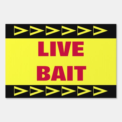 Live Bait Signs Zazzle