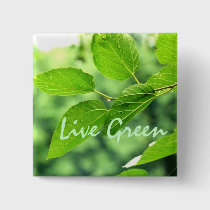 'Live Green' Button buttons