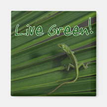 Live Green Lizard Magnet