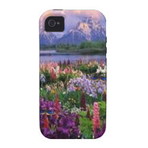 Live in paradise! Case-Mate iPhone 4 cover