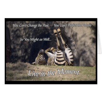 Live in the Moment Zebra Greeting Card