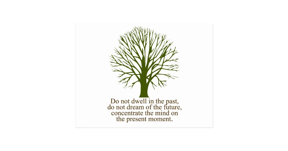 Live In The Present Moment Postcard Zazzle