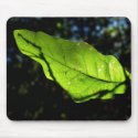Live is Life Mousepad by tshirtdujour Live is Life Mousepad