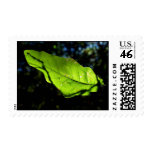 Live is Life Postage stamps