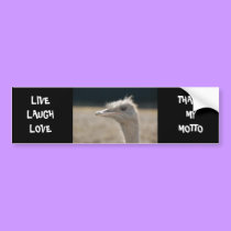 LIVE, LAUGH, LOVE - bumper sticker bumper stickers by Horseshoes3 LIVE, LAUGH, LOVE - bumper sticker bumper stickers