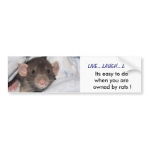 Live,Laugh,Love Bumper Sticker bumper stickers