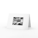 Live, Laugh, Love cards