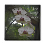 Live Laugh Love-Orchid Magnet Live Laugh Love-Orchid Magnet