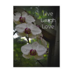 Live Laugh Love-Orchid Post Cards