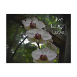 Live Laugh Love-Orchid Post Card
