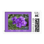 Live Laugh Love Postage