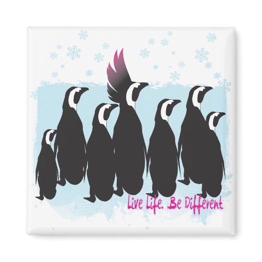 Live life. Be different. Penguin magnet. 