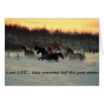 Live Life Card