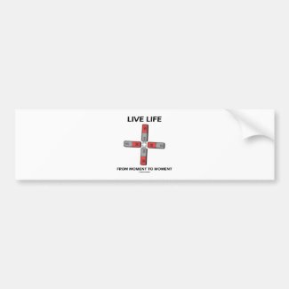 Live Life From Moment To Moment (Quadrupole) Bumper Stickers