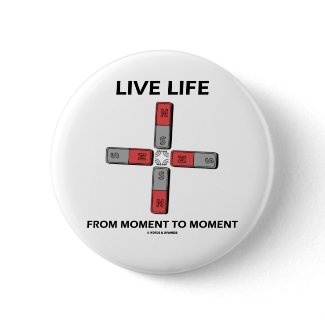Live Life From Moment To Moment (Quadrupole) button