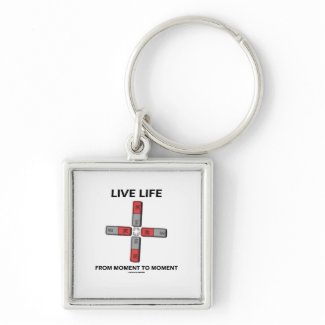 Live Life From Moment To Moment (Quadrupole) keychain