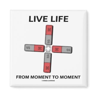 Live Life From Moment To Moment (Quadrupole) magnet