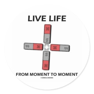 Live Life From Moment To Moment (Quadrupole) sticker