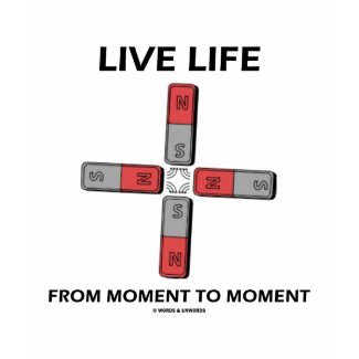 Live Life From Moment To Moment (Quadrupole) shirt