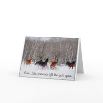 Live Life.....Like someone left the gate open! Greeting Card