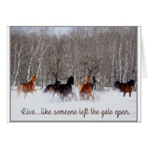 Live Life.....Like someone left the gate open! Greeting Card