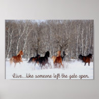 Live Life.....Like someone left the gate open! Poster