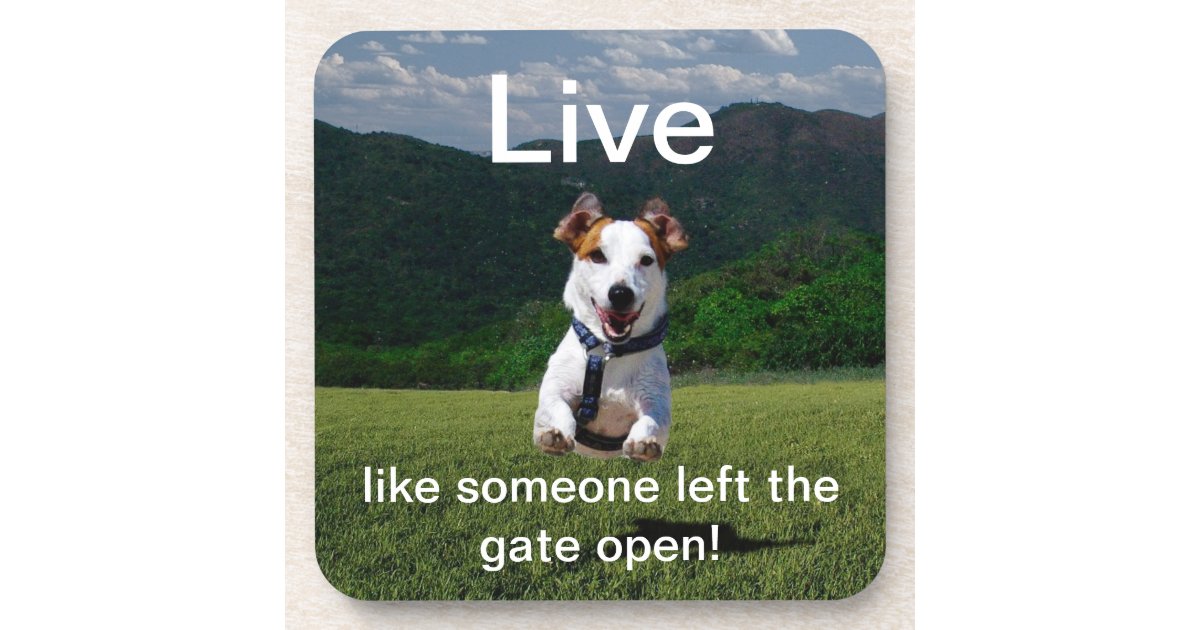 50Something! Its Our Turn: Live Like Someone Left the Gate Open!