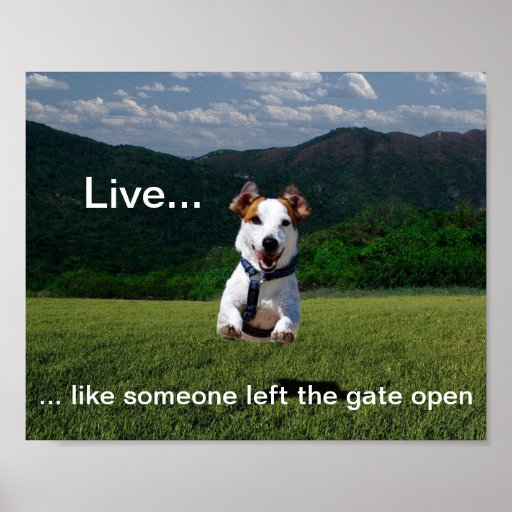 "Live Like Someone Left the Gate Open" Poster | Zazzle