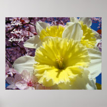 Live Love Laugh art prints Spring Daffodil Flowers