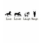 horse, horses, equine, equestrian, horseback,