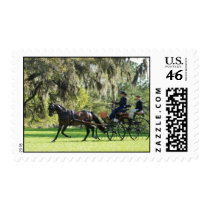 live oak cde postage