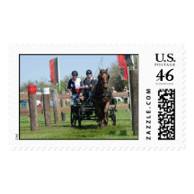 live oak cde stamp